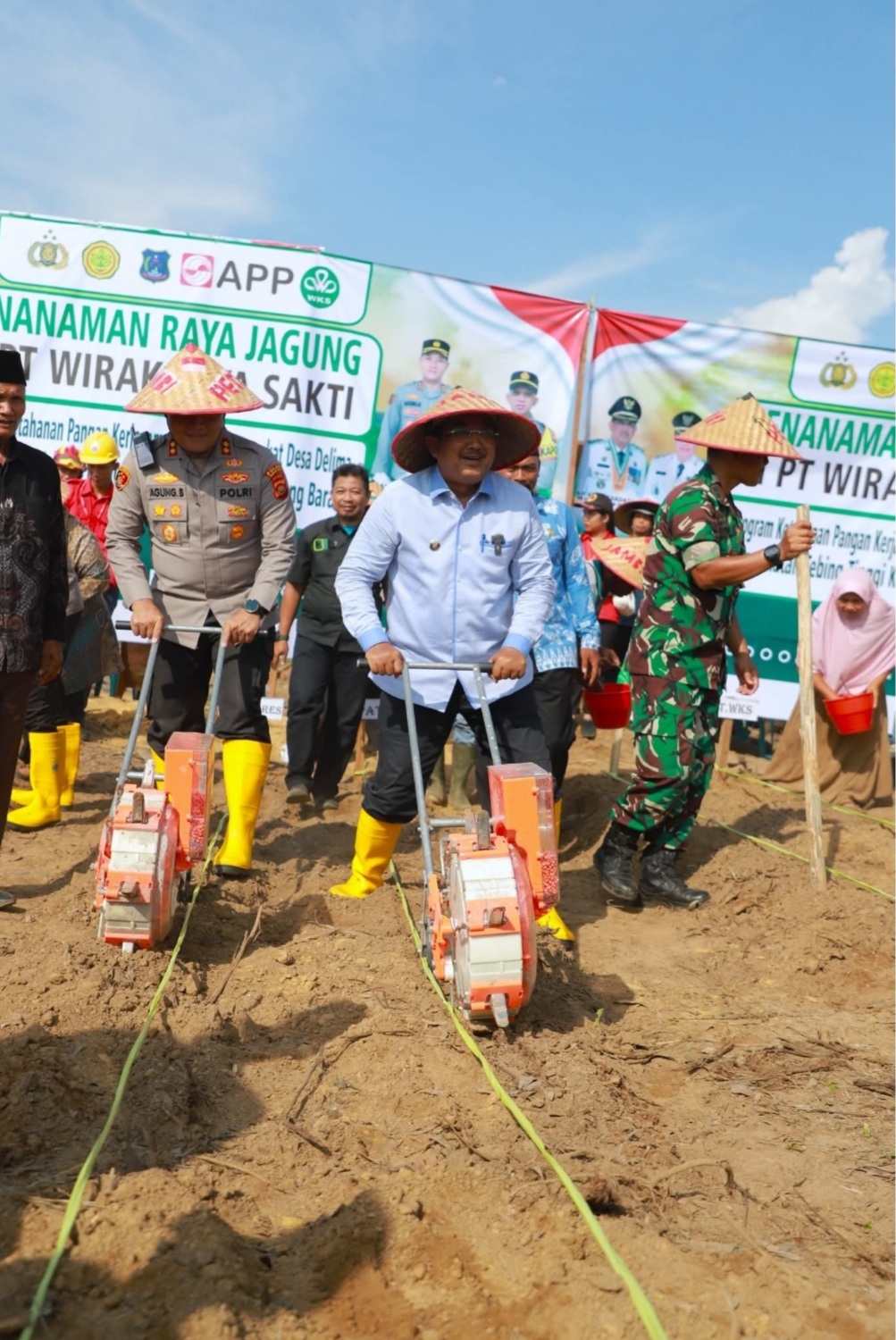 Usai Panen Raya, Bupati Tanjab Barat Lanjutkan dengan Penanaman Bibit Jagung di Tebing Tinggi